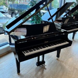 Boston GP-156 EP 5'1" (NEW)