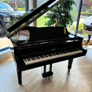 Boston GP-178 EP 5'10" (NEW)