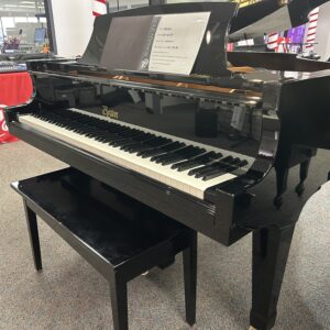 Boston GP-156 EP 5'1" (DEMO - 2021)